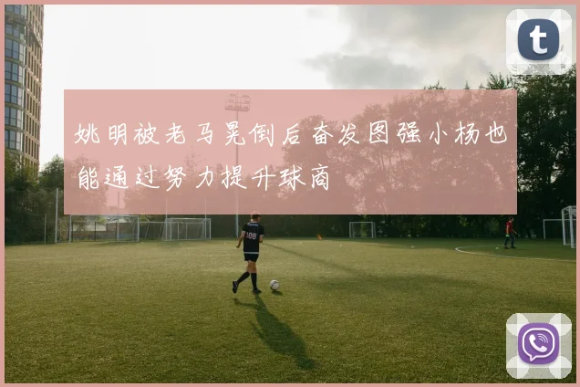 姚明被老马晃倒后奋发图强小杨也能通过努力提升球商