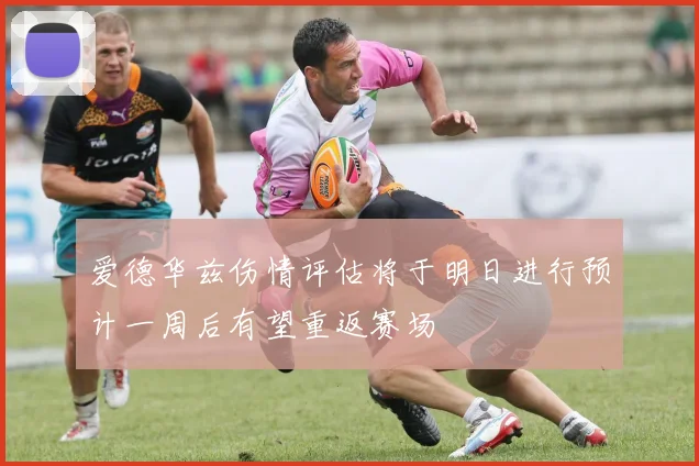 爱德华兹伤情评估将于明日进行预计一周后有望重返赛场