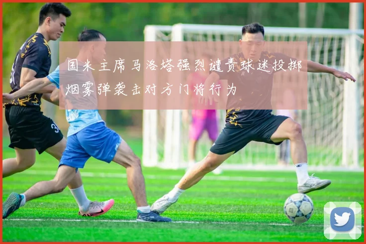 国米主席马洛塔强烈谴责球迷投掷烟雾弹袭击对方门将行为